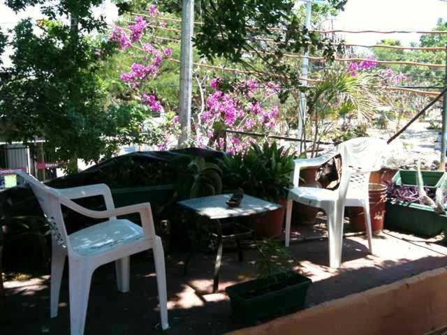 Mayan Hostel Cancún Eksteriør billede