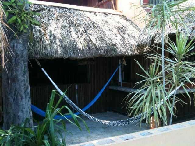 Mayan Hostel Cancún Eksteriør billede