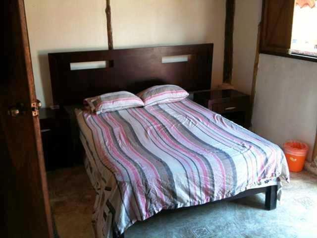Mayan Hostel Cancún Værelse billede