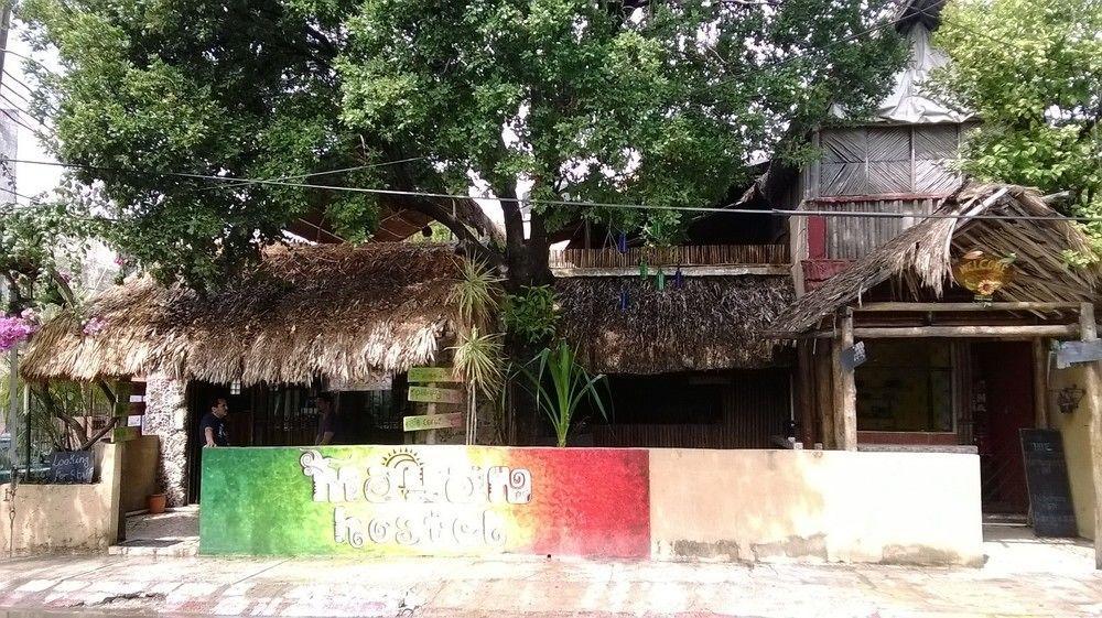 Mayan Hostel Cancún Eksteriør billede